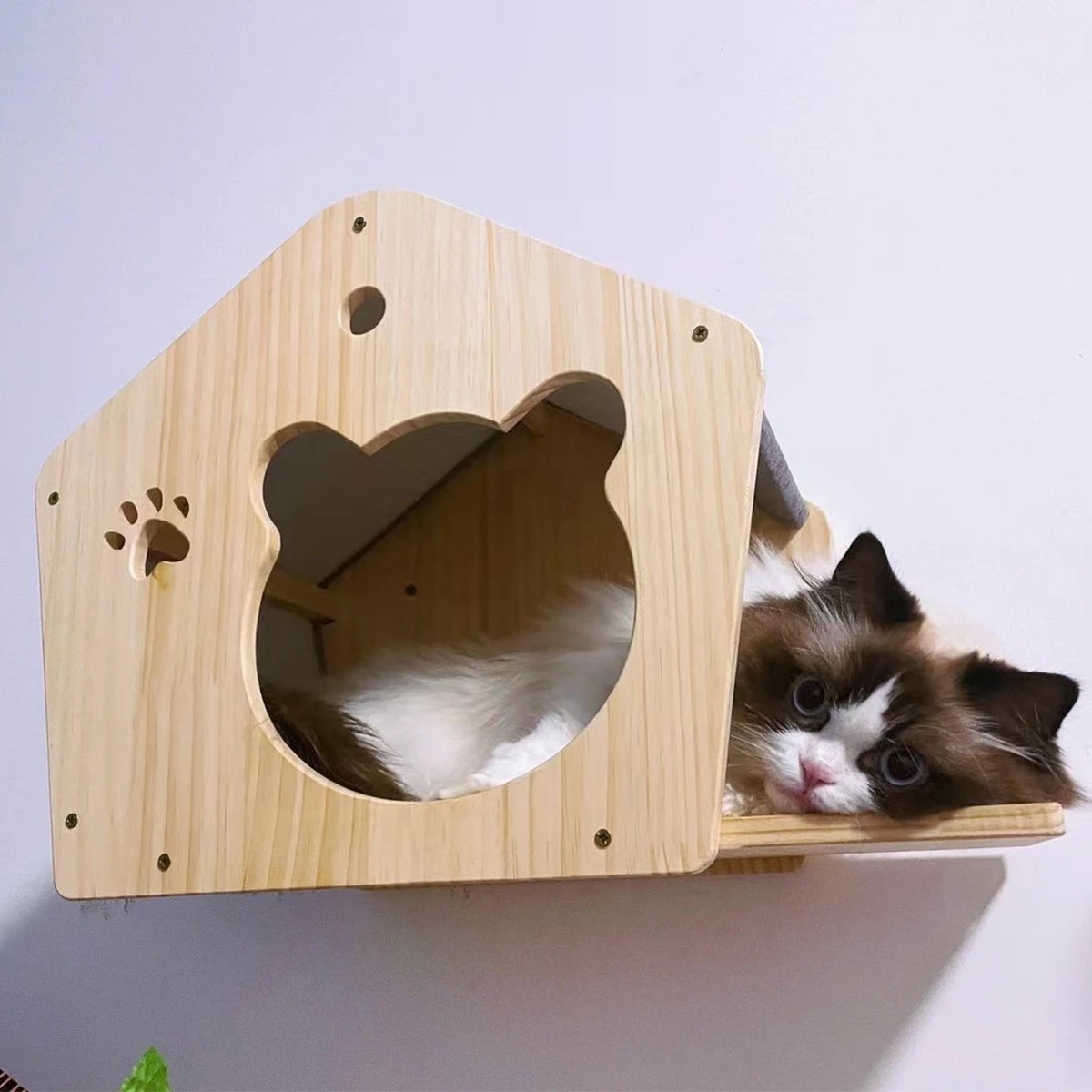 Cat Tree Cat Wall Mounted Climbing Wooden Shelves Posts Ladders with Hammock